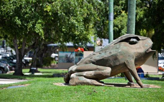 Tourism picture - Buffy the Toad